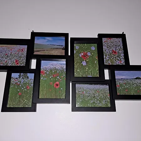 Les Fleurs De Lin - Neuf Entre Etretat Et Veules Les Roses Avec Jardin Clos Et Parking * Ouainville